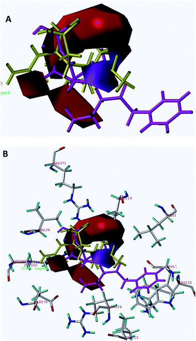 (A) The hydrogen bond acceptor contour maps of the CoMSIA model are shown together with the conformations for the most active derivative 45 (shown in magenta color) and the inactive derivative 61 (shown in yellow color). (B) Superimposition of hydrogen bond acceptor contours on A/H1N1 active site. Cyan polyhedron shows the hydrogen bond favorable region and violet colored polyhedron disfavors the hydrogen bond donor group.