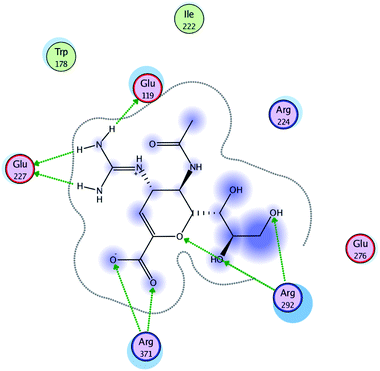 Interaction of Relenza with the active site of A/H1N1.