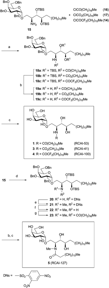 
            Reagents and conditions: (a) Et3N, CH2Cl2, 25 °C, 1 h, 79–82%. (b) TBAF, THF, 25 °C, 24 h, 84–99%. (c) H2, Pd(OH)2–C, EtOH–CHCl3 (4 : 1), 25 °C, 8 h, 77–84%. (d) DNsCl, pyridine, 25 °C, 13 h, 71%. (e) MeI, K2CO3, DMF, 25 °C, 12 h, 89%. (f) Thioglycolic acid, Et3N, CH2Cl2, 25 °C, 24 h, 88%. (g) Stearic acid, EDC, DMAP, CH2Cl2, 25 °C, 17 h, 87%.