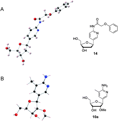 X-Ray crystal structures (left) and the corresponding chemical structures (right) of (A) N-(phenoxyacetyl) dAP and (B) Me-MAP.