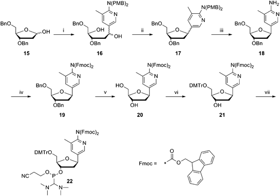 
              Reagents and conditions: (i) 2-[N,N-bis(4-methoxybenzyl)]amino-3-methyl-5-bromopyridine (2), n-BuLi, THF, −35 °C, 0.5 h; −30 °C, 1 h; rt, 4.5 h, 92%; (ii) Bu3P, TMAD, THF, rt, 6 h, 88%; (iii) CF3CO2H/DCM, rt, 7 h, 99%; (iv) Fmoc-Cl (in CH3CN), pyridine, 0 °C, rt, 2 h, 96%; (v) BCl3, DCM, −78 °C, 6 h, methanol, −75 °C, 0.5 h; 4 °C, 17.5 h, 79%; (vi) DMTrCl, pyridine, rt, 3.5 h, 87%; (vii) 2-cyanoethyl-N,N-diisopropylchlorophosphoramidite, DIPEA, DCM, rt, 2 h, 50%.