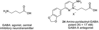 Bioisosteric replacement of the GABAamino function by an aminopyridazine.