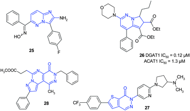 
          Pyridazines as parts of fused bi- or tricyclic scaffolds.