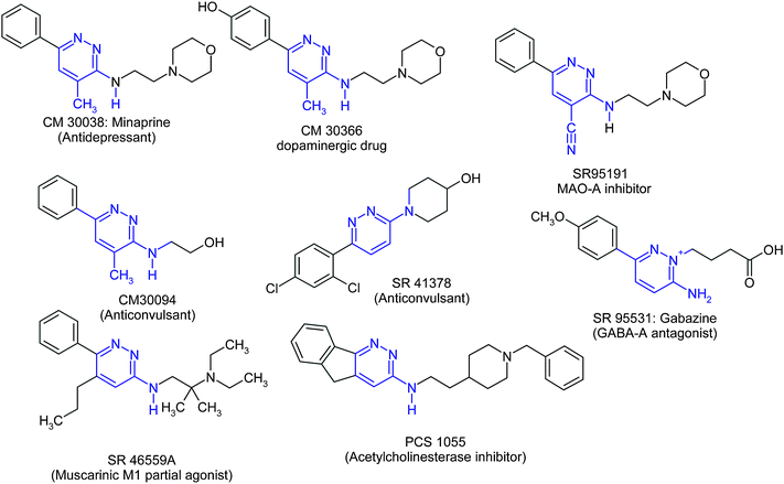 A great variety of activity profiles derived from pyridazines scaffold.