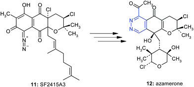 The key step of the biosynthesis of azamerone is the transformation of the diazoketone11 into the pyridazone12.