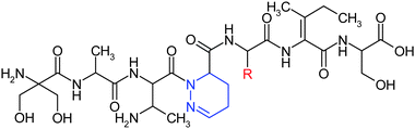 Structures of the partially saturated dihydropyridazines: antrimycin (R = CH3) and cirratiomycin A (R = iso-Bu).