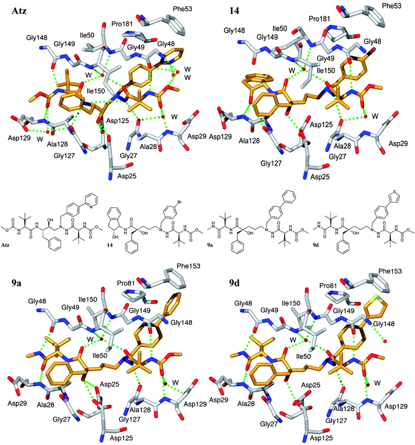 Comparison of the overall conformations and binding patterns of the compounds Atz (top left, PDB code 3EL9), 14 (top right, PDB code 2uxz), 9a (bottom left, PDB code 2xye) and 9d (bottom right, PDB code 2xyf) in the active site of HIV-1 protease. The hydrogen bonds to the catalytic Asp25 and Asp125 are longer (∼3.3 Å) for 14, 9a and 9d, whereas Atz has two short hydrogen bonds (2.8 Å) and an additional one at 3.3 Å. Compounds 9a and 9d form 7 and 6 direct hydrogen bonds to the protease, respectively. Additionally, both compounds form 3 more hydrogen bonds viawater molecules, of which two are to the structural water. The corresponding numbers for 14/Atz are 5/9 direct hydrogen bonds and 3/5 viawater. Edge-on aromatic interactions with Phe53/153 are formed with the elongated P1′ side chains of 9a and 9d.