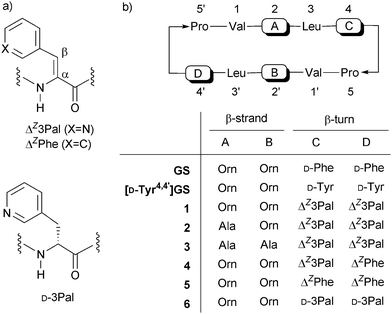 (a) ΔZ3Pal, ΔZPhe and d-3Pal and (b) GS analogs in this study.