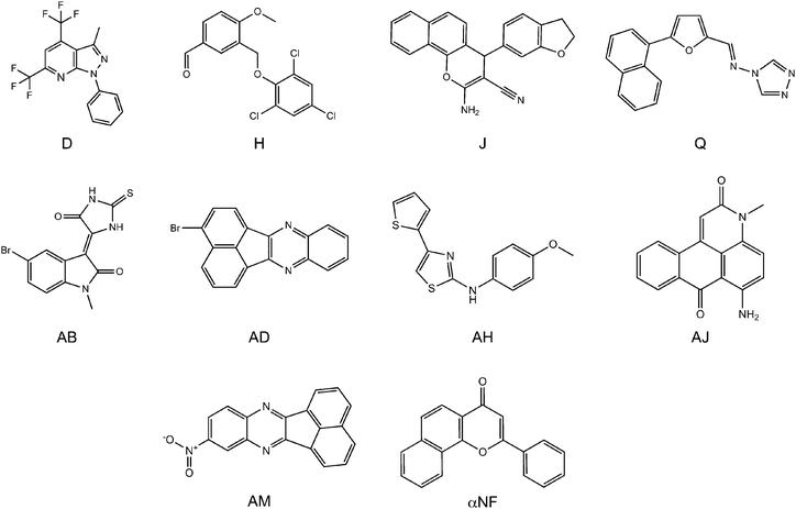 The most potent inhibitors at a concentration of 0.3 μM. Compounds D, H, J, and Q were selected from the ligand-based screening, and compounds AB, AD, AH, AJ, and AM were selected from the structure-based screening.