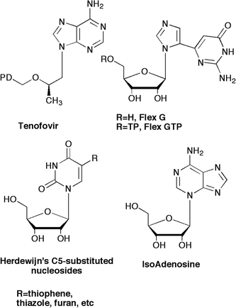 Flexible nucleoside leads.