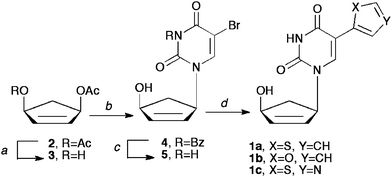 (a) Pseudomonas cepacialipase, potassium phosphate buffer pH 7.4, acetone, 1 N NaOH; (b) NaH, DMF, Pd2(dba)3, DPPP, N3-benzoylated-5-bromouracil, 55 °C, 72 h; (c) methanolic ammonia, rt; (d) for 1a, tributylstannyl thiophene, dioxane, PdCl2(PPh3)2; for 1b, tributylstannyl furan, dioxane, PdCl2(PPh3)2; for 1c, tributylstannyl thiazole, THF, Pd(PPh3)4.