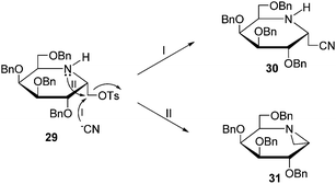 The formation of compounds 30 and 31.