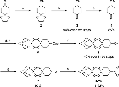 
          Reagents and conditions: (a) NaBH4, MeOH, 0 °C, 20 min; (b) 2 N aq. HCl, rt, 16 h; (c) AcCl, pyridine, CH2Cl2, 0 °C, 8 h; (d) H2O2, MeCN/HCO2H, 0 °C, 30 min; (e) 2-adamantanone, Re2O7 (2 mol%), CH2Cl2, 0 °C, 1 h; (f) LiOH, MeOH, rt, 2 h; (g) Jones reagent, acetone, rt, 3h; (h) amine, NaBH(OAc)3, CH2Cl2, 16 h.