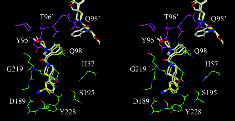 A stereo view of compound 3 and 4 modeled in the β-tryptase substrate binding pocket located between two adjacent monomers of which the carbon atoms are colored in green and magenta, respectively. The carbon atoms of compound 3 are colored in yellow and those of compound 4 are in white. The compounds bound in the binding pocket of the adjacent monomer are partially shown.