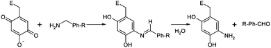 The benzylamine of β-tryptase forms a Schiff base with the oxidized form of TPQ of SSAO before turning into benzaldehyde.