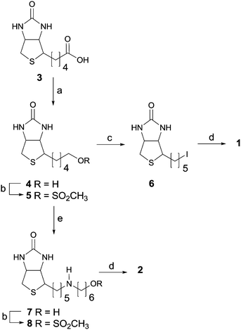 Synthetic routes to 1 and 2. (a) LiAlH4; (b) MsCl; (c) NaI; (d) H2NPhCH2–DOTA, DMF; (e) H2N(CH2)6OH.