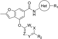 
          2-Methylbenzofuran chemotype for structure–activity studies.