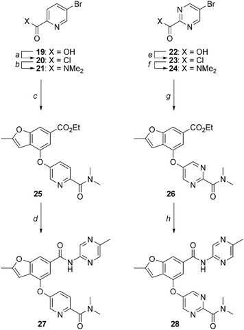 Synthesis of 2-methylbenzofurans 27 and 28. Reagents and conditions: (a) (COCl)2, cat. DMF, CH2Cl2, 23 °C, 18 h; (b) Me2NH·HCl, Et3N, CH2Cl2, 23 °C, 4 h, 64% (two steps); (c) 13, Pd(OAc)2, tBuXPhos, K3PO4, toluene, reflux, 24 h, 8%; (d) 2-amino-5-methylpyrazine, Me2AlCl, DME, reflux, 18 h, 23%; (e) (COCl)2, cat. DMF, DCM, 23 °C, 2 h, 100%; (f) 2M Me2NH in THF, THF, 23 °C, 16 h, 77%; (g) 13, CuI, 1,10-phenanthroline, Cs2CO3, DMF, 90 °C, 18 h, 54%; (h) 2-amino-5-methylpyrazine, Me2AlCl, DME, reflux, 3.5 h, 81%.