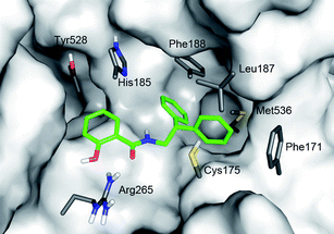 Proposed binding mode for N-substituted salicylamide 15 (green). The salicylic hydroxy group of the ligand is placed near Arg265 and the diphenyl group in the hydrophobic part of the pocket. Van der Waals surfaces and residues derive from PfDHODH crystal structure pdb3I65.21 The image was generated with the PyMOL software package (The PyMOL Molecular Graphics System, DeLano Scientific, San Carlos, CA (USA), 2002).