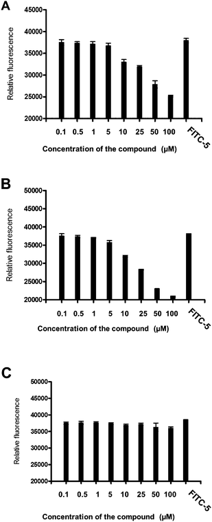 Competitive binding of compounds with FITC-labeled compound 5 at different concentrations to BT-474 cells that overexpress HER2 protein. Relative fluorescence intensity was represented. FITC-5 concentration was 50 μM. Concentration of unlabeled peptide is shown on the X-axis. (A) Compound 16, (B) compound 9, and (C) compound 15. Notice that compounds 16 and 9 replace the binding of FITC-5 at a concentration of ≤5 μM.