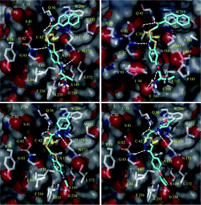 Docking pose of 42 (a), 31 (c), and 45 (d) in FP-2 and of 42 in FP-3 (b).