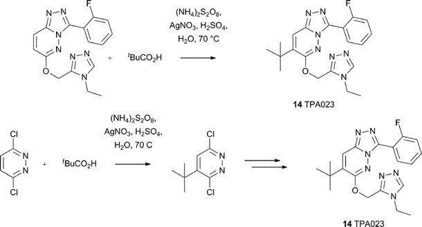 Synthesis of TPA023, an α2/α3 selective GABAA agonist40
