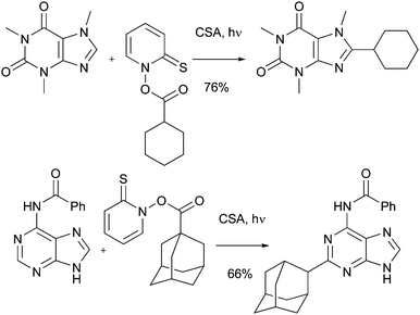 Barton esters in Minisci-type alkylations43–45