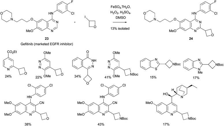 Introduction of the oxetan-3-yl and azetidin-3-yl groups18