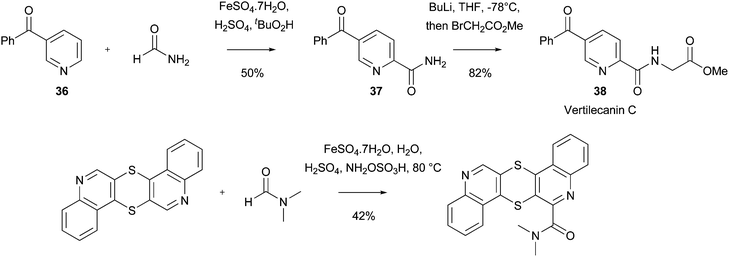 Synthesis of Vertilecanin natural products and thioquinathrece amides95, 96