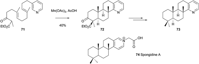 A cascade approach to a relative of the anti-inflammatory alkaloid, Spongidine A130