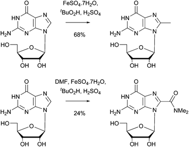 Use of Minisci methylation and amidation to model DNA damage with radicals147,148