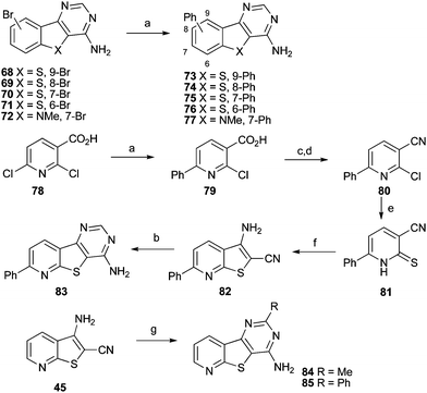 Synthesis of substituted 4-aminopyrimidine derivatives. Reagents and conditions: a) PhB(OH)2, PdCl2(PPh3)2, K2CO3, dioxane, H2O, 90 °C; b) formamidine acetate, formamide, 150 °C; c) i) SOCl2, ii) NH4OH; d) Ac2O, 120 °C; e) thiourea, EtOH; f) Et3N, DMF, BrCH2CN, then K2CO3; g) For 84, 1. CH(OMe)3, 130 °C 2. NH4OAc, 150 °C; For 85, PhCN, cat. KtOBu, DMSO, 200 °C.