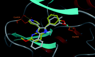 Docking poses of L779,450 (C atoms represented in light grey and polar H in cyan) and 20 (C atoms in yellow) are superimposed in the active site of RAF-1.