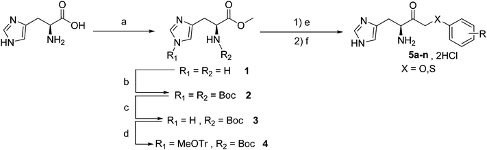 Synthesis of the different inhibitors. Reagents and conditions: a) SOCl2, MeOH, 0 °C to reflux of MeOH; b) Boc2O, NEt3, MeOH, rt; c) K2CO3, MeOH, reflux; d) MeOTrCl, NEt3, DMF, r.t.; e) ArXCH2COOH, LHMDS, THF, −78 °C to r.t.; f) HCl 4N in dioxane.