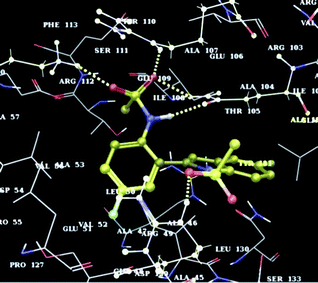 Docking of indole 2b at the active site of CM.