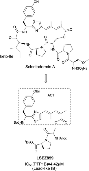 Discovery of PTP1B inhibitors.