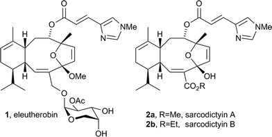 Eleutherobin 1 and sarcodictyin A (2a) and B (2b).