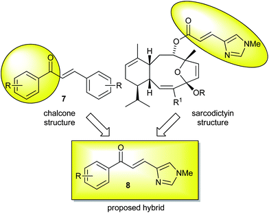Rationale for urocanic-chalcone hybrid.