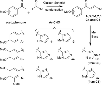 Synthesis of proposed urocanic-chalcone hybrid derivatives.