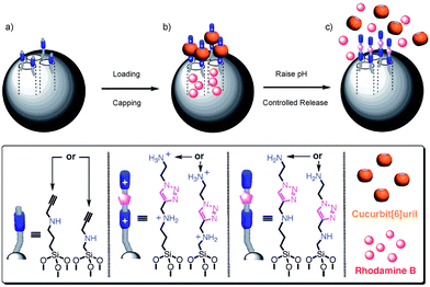 pH-responsive supramolecular nanovalves based on CB[6]/bisammonium [2]pseudorotaxanes. The alkyne-functionalized MSNs are loaded with RhB molecules, and then capped with CB[6]-based [2]pseudorotaxanes by a “click” reaction under neutral to acidic pH. Upon deprotonation of the –CH2NH2+CH2– centers at pH >10, the CB[6] rings dethread from the bisammonium stalks and the RhB molecules are released. Copyright 2008 Wiley. Used with permission from ref. 98.