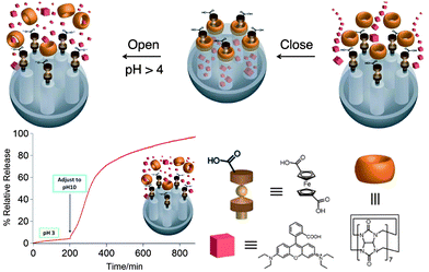 pH-responsive CB[7]/ferrocene pseudorotaxane-based nanovalve (top route). The cargo is released by acidifying the solution in which MSNs are dispersed, the ferrocene carboxylic acid is deprotonated and the CB[7] dethreads from the stalk due to the strong electrostatic repulsion between the carboxylate anion of the guest and the carbonyl oxygen atoms of CB[7]. The release profile of RhB from CB[7]-capped MSNs was shown in the bottom right. Upon adjusting the pH to 10, the emission intensity of RhB increases rapidly and then asymptotically approachs the maximum with a time-to-half maximum release of ca. 100 min. Copyright 2009 Wiley. Used with permission from ref. 104.