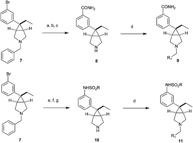 Reagents and conditions: (a) Zn(CN)2, Pd(PPh3)4, 80%; (b) H2O2, K2CO3, DMSO, 60%; (c) Pd/C, MeOH, NH4CO2H, 80%; (d) R1CHO, NaBH(OAc)3, (CH2)2Cl2, 70–90%; (e) Pd(OAc)2, BINAP, benzophenone imine, NaOtBu, HCl,; (f) RSO2Cl, pyridine, 70% for e and f; (g) H2, Pd/C, MeOH, NH4CO2H, 78%.