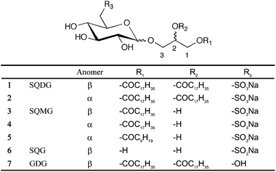 Structure of SQAGs used in this study. Sulfoquinovosyldiacylglycerol (SQDG): C45H85NaO12S, Mw 873.2. Sulfoquinovosylmonoacylglycerol (SQMG) C18: C27H51NaO11S, Mw 606.74, C10: C19H35NaO11S, Mw 494.53. Sulfoquinovosylglycerol (SQG): C9H17NaO10S, Mw 340.04. Glucosyldiacylglycerol (GDG): C45H86O10, Mw 787.16.