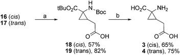 (a) NaIO4, RuCl3·H2O, CCl4, CH3CN, H2O, rt, 3 h. (b) CF3COOH, CH2Cl2, rt, 3 h.