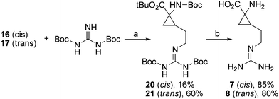 (a) Ph3P, DIAD, THF, 0 °C to rt, 20 h. (b) CF3COOH, CH2Cl2, rt, 3 h.