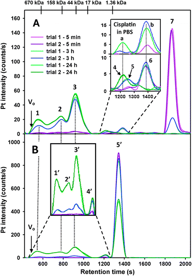 Representative Pt-specific chromatograms (2 replicates superimposed) obtained for the analysis of male human plasma (3.0 mL) spiked with (A) cis-platin (0.024 mg Pt/mL plasma) and (B) carboplatin (0.12 mg Pt/mL plasma). The mixture was incubated at 37 °C and samples were analyzed after 5 min (pink/purple), 3 h (light and dark blue) and 24 h (light and dark green) on a Superdex 200 10/300 GL SEC column (30 × 1.0 cm I.D., 13 μm particle size) at 22 °C using PBS buffer (0.15 M, pH 7.4) as the mobile phase. Flow rate 1.0 mL min−1, Injection volumn 500 μL, Detector: ICP-AES at 214.423 nm (Pt). The retention times of the molecular markers are depicted on top of the figure.