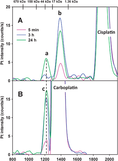 Pt-specific chromatograms obtained after the analysis of PBS-buffer (3.0 mL, pH = 7.4) incubated at 37 °C and spiked with (A) cis-platin (0.024 mg Pt/mL) and (B) carboplatin (0.12 mg Pt/mL). Stationary phase: Superdex 200 10/300 GL (30 × 1.0 cm I.D., 13 μm particle size) SEC column (22 °C); Mobile phase: PBS buffer (0.15 M, pH 7.4); Flow rate: 1.0 mL min−1, Injection volume: 500 μL; Detector: ICP-AES at 214.423 nm (Pt). The retention times of the molecular markers are depicted on top of the figure.