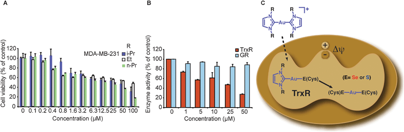 Gold compounds as therapeutic agents for human diseases - Metallomics (RSC Publishing)