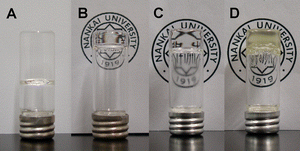 Photographs of the gels in toluene with a concentration near their cmgc. (A) g2-PUA gelator on 8.0 g L−1 after being gelled for two days; (B) g2-PUA-PDADMA gelator on 0.5 g L−1 after being gelled for one day; (C) g2-PUA-PAH gelator on 2.0 g L−1 after being gelled for one day; (D) g2-PUA-QP4VP gelator on 9.0 g L−1 after being gelled for one day.