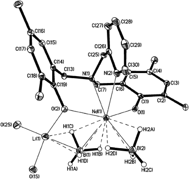 ORTEP diagram (30% probability thermal ellipsoids) of [OONN]3Nd(BH4)(μ-BH4) Li(THF)2 (3) showing the non-hydrogen atom numbering scheme. Hydrogen atoms, methyl groups of t-Bu substituents and methylene groups of THF are omitted for clarity.